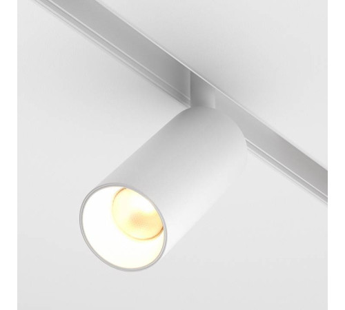 Светильник на штанге Maytoni Focus LED TR032-2-5W3K-S-W
