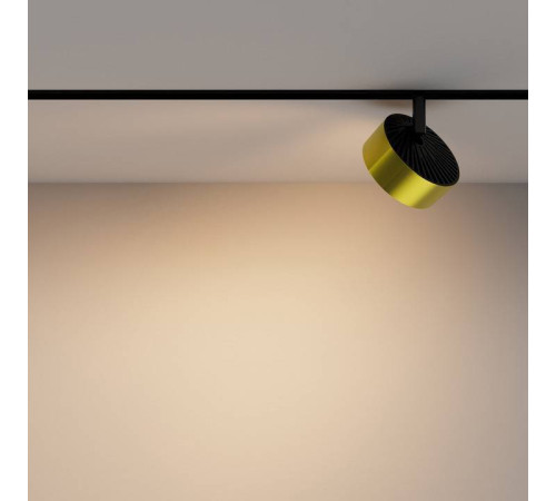 Светильник на штанге Maytoni Rado TR040-2-18W3K-BBS