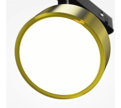 Светильник на штанге Maytoni Rado TR040-2-18W3K-BBS