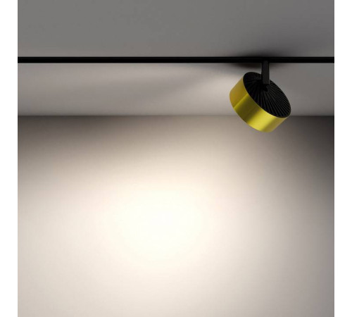 Светильник на штанге Maytoni Rado TR040-2-18W4K-BBS