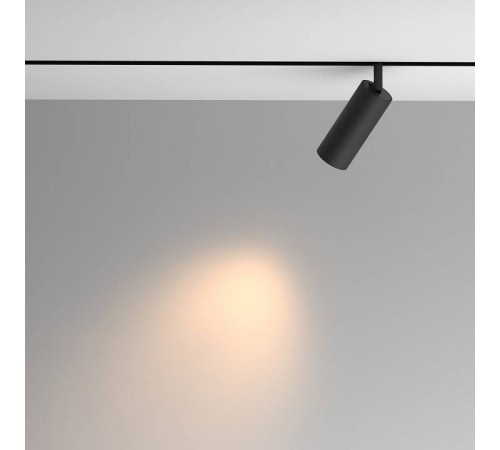 Светильник на штанге Maytoni Artisan TR097-2-12W3K-M-BB