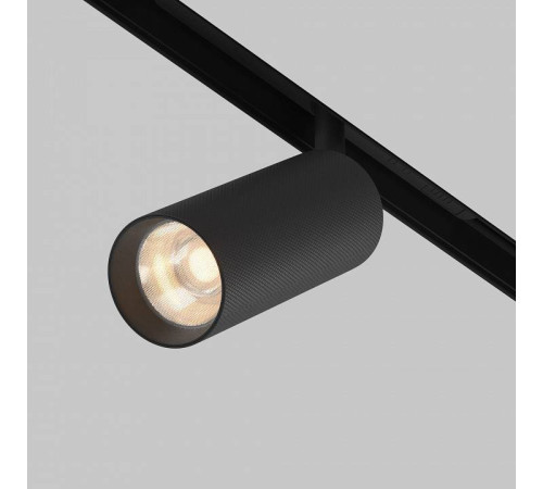 Светильник на штанге Maytoni Artisan TR097-2-12W3K-M-BB