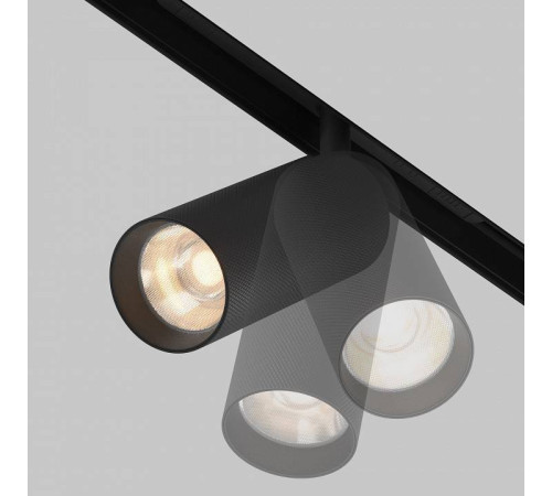 Светильник на штанге Maytoni Artisan TR097-2-12W3K-M-BB