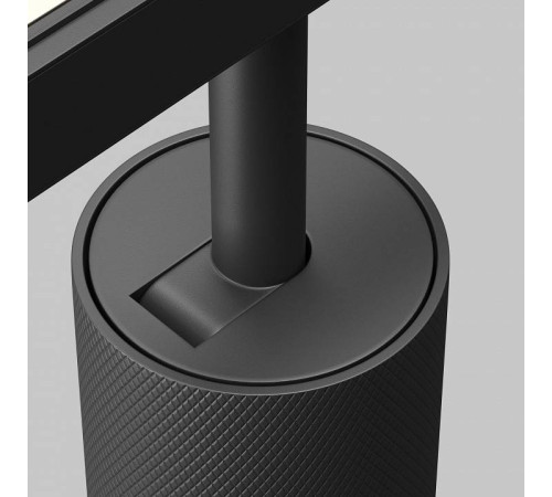 Светильник на штанге Maytoni Artisan TR097-2-12W3K-M-BB