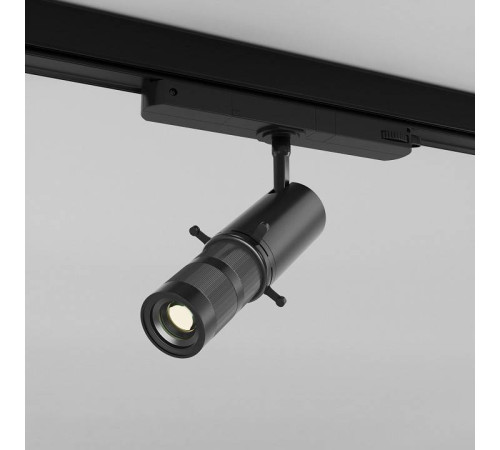 Светильник на штанге Maytoni Gala TR108-3-10W3K-B