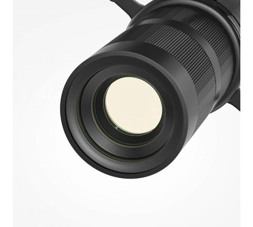 Светильник на штанге Maytoni Gala TR108-3-10W3K-B