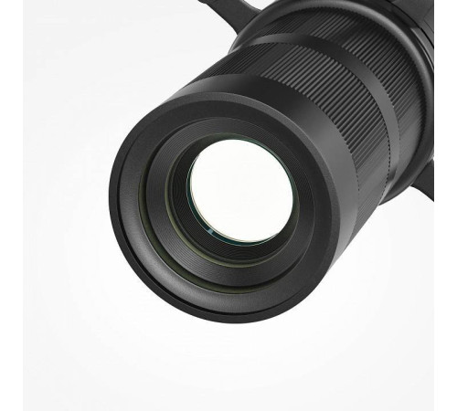 Светильник на штанге Maytoni Gala TR108-4-10W3K-DS-B