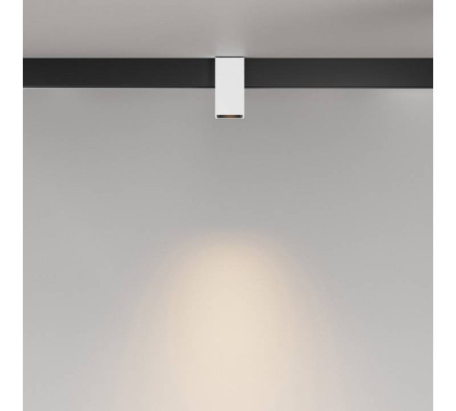 Накладной светильник Maytoni Alfa TR121-2-7W3K-W