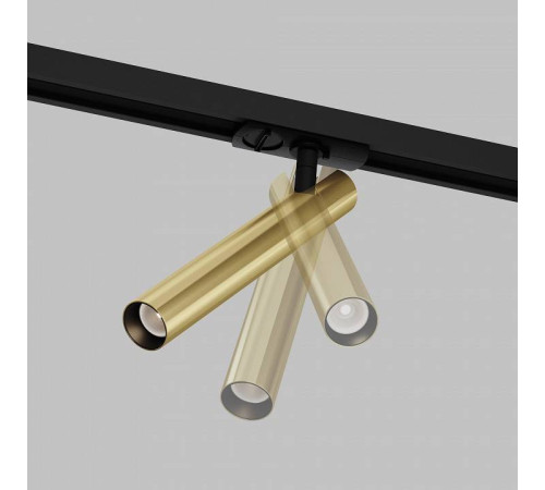 Светильник на штанге Maytoni Focus T TR141-1-6W3K-M-BS