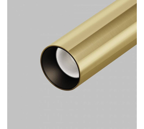 Светильник на штанге Maytoni Focus T TR141-1-6W3K-M-BS