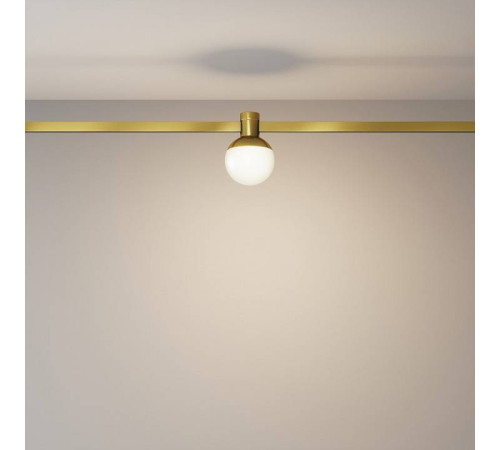 Накладной светильник Maytoni Luna TR149-1-5W3K-BS