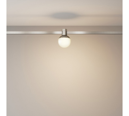 Накладной светильник Maytoni Luna TR149-1-5W3K-PT