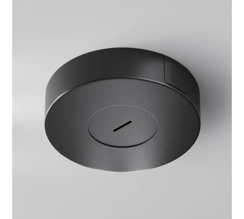 Основание для трека-ремня Maytoni Accessories for system Parity TRA130SC-1B