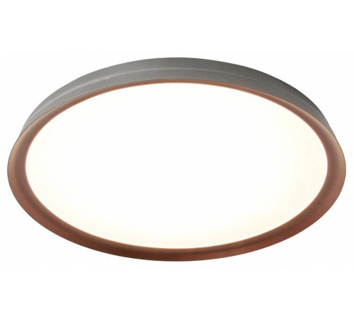 Накладной светильник Mizi`en Titan MZ31502-430