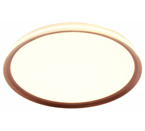 Накладной светильник Mizi`en Titan MZ31502-640