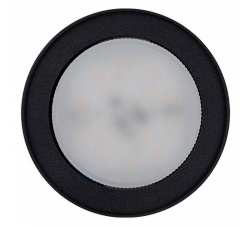 Накладной светильник Nowodvorski Flea 8203