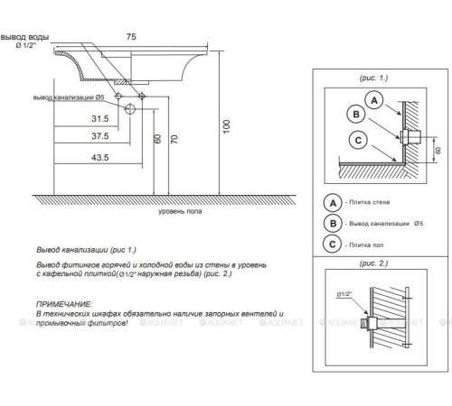 Раковина Dolomite Милка 75 00237566