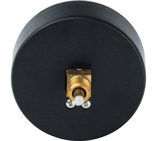 Термоманометр аксиальный Watts F+R818 TMAX 80 мм 1/2 4 бар 10009464