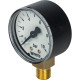 Манометр радиальный Watts F+R200 (MDR) 50 мм 1/4 10 бар 10007380