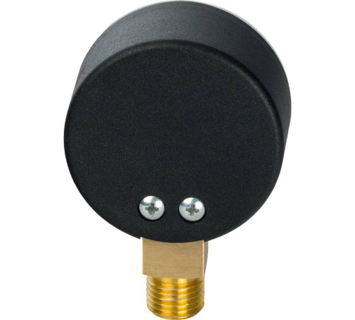 Манометр радиальный Watts F+R200 (MDR) 50 мм 1/4 10 бар 10007380