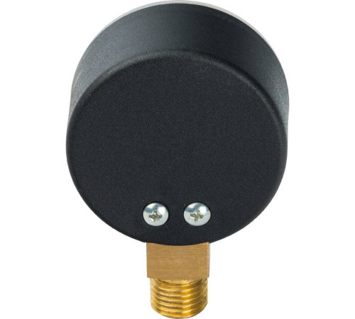 Манометр радиальный Watts F+R200 (MDR) 50 мм 1/4 16 бар 10007384