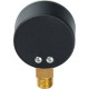 Манометр радиальный Watts F+R200 (MDR) 50 мм 1/4 16 бар 10007384