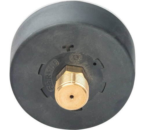Манометр аксиальный Watts F+R100 63 мм 3/8 0-4 бар 10008091