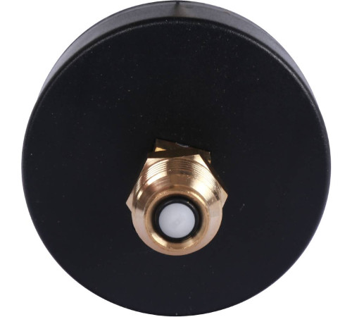 Термоманометр аксиальный Watts F+R818 80 мм 1/2 6 бар 10018742