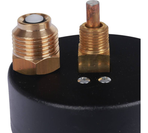 Термоманометр аксиальный Watts F+R818 80 мм 1/2 6 бар 10018742