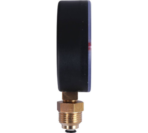 Термоманометр радиальный Watts 80 мм 4 бар 10025526