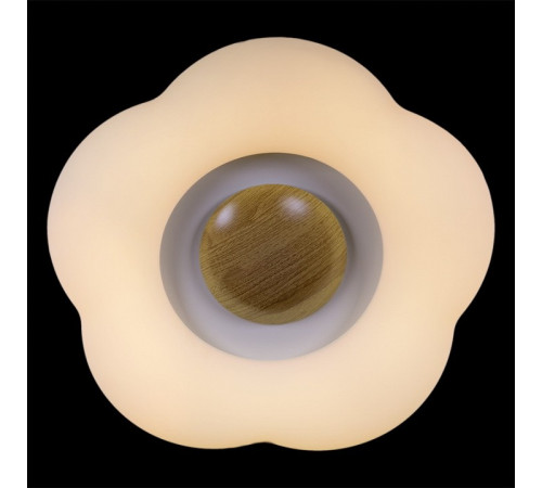 Накладной светильник 01014-0.3-01 WOOD