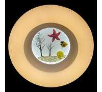 Накладной светильник 01023-0.3-01A