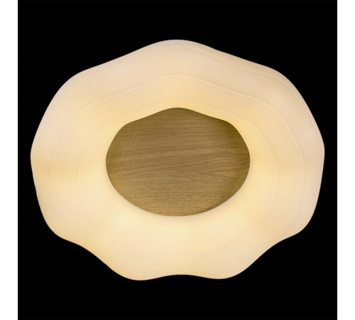 Накладной светильник 01029-0.3-01 WOOD