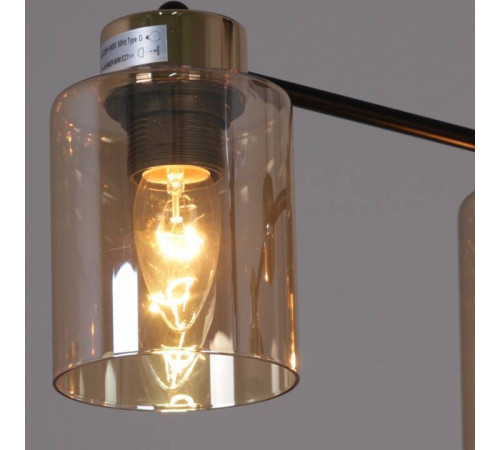 Люстра на штанге Reluce 01606-2 01606-0.3-04 BK+FGD