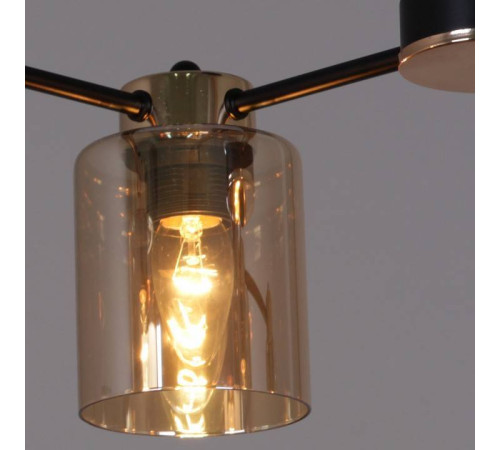 Люстра на штанге Reluce 01606-2 01606-0.3-04 BK+FGD