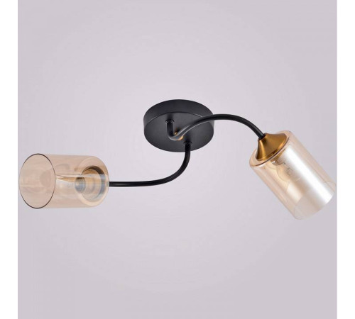 Накладной светильник Reluce 01608-1 01608-0.3-02 BK+BRASS