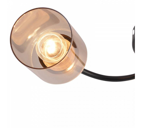 Потолочная люстра Reluce 01608-1 01608-0.3-03 BK+BRASS