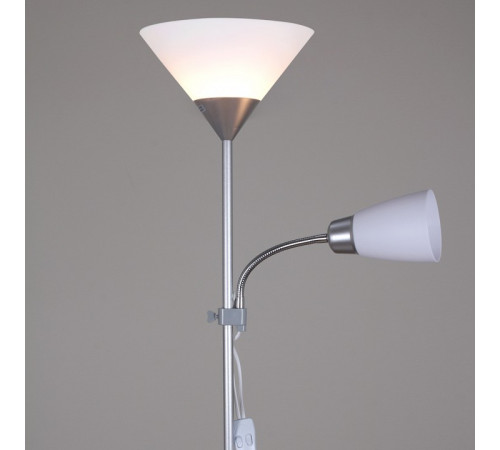 Торшер 06003-0.6-02HV SL