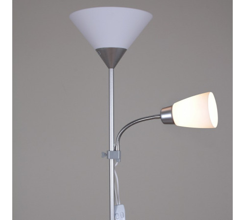 Торшер 06003-0.6-02HV SL