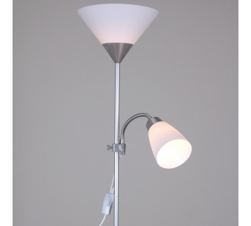 Торшер 06003-0.6-02HV SL