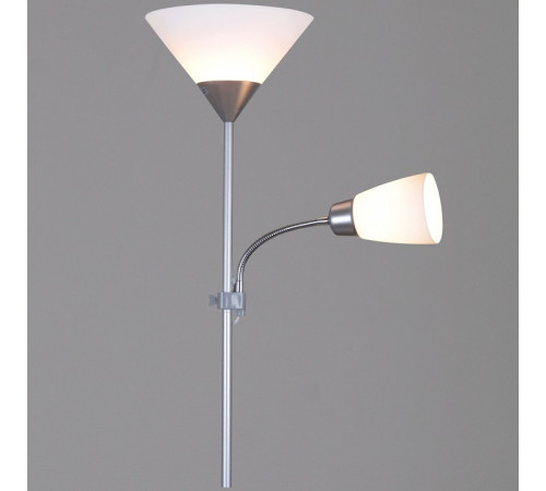 Торшер 06003-0.6-02HV SL