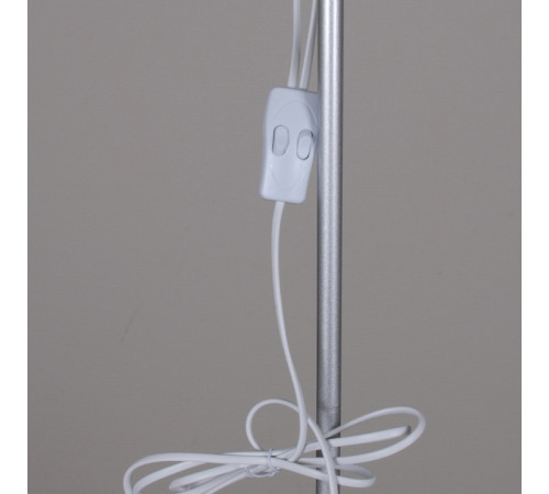 Торшер 06003-0.6-02HV SL