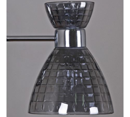 Люстра на штанге 07305-0.3-02