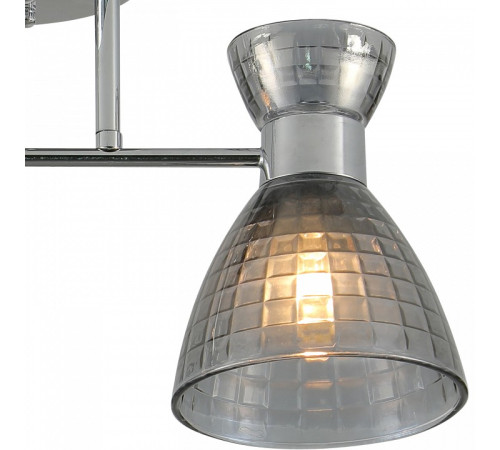 Люстра на штанге 07305-0.3-02