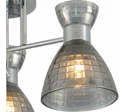 Люстра на штанге 07305-0.3-03