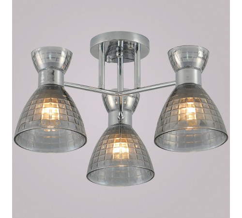 Люстра на штанге 07305-0.3-03