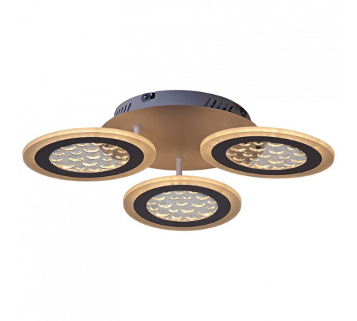 Потолочная люстра 20491-0.3-03 WT