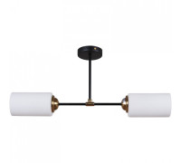 Светильник на штанге 32348-0.3-02