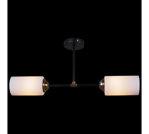 Светильник на штанге 32348-0.3-02