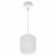 Подвесной светильник Reluce 53007 53007-0.9-001LD GX53 WT